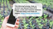 GivingTuesday SMS fundraising